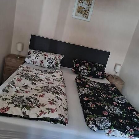 Gemuetliche Ferienwohnung Am Waldrand Elgersburg 外观 照片