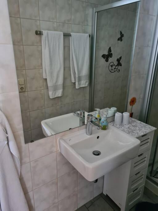 Gemuetliche Ferienwohnung Am Waldrand Elgersburg 外观 照片