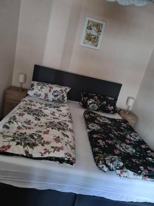 Gemuetliche Ferienwohnung Am Waldrand Elgersburg 外观 照片