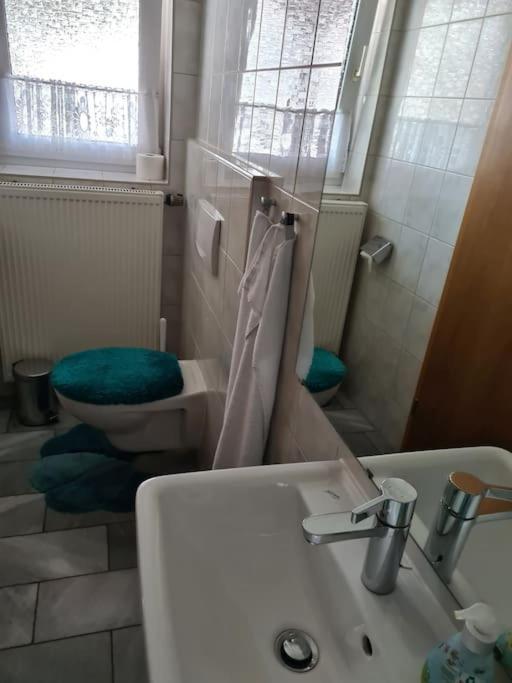 Gemuetliche Ferienwohnung Am Waldrand Elgersburg 外观 照片